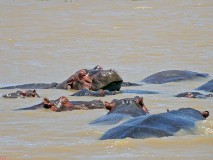 27: 1_DSC01487_lores