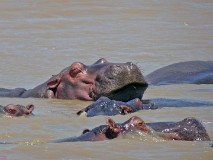 28: 1_DSC01489_lores