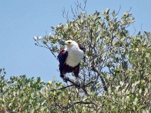 30: 1_DSC01492_lores