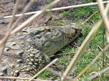 40: 1_DSC_5934_lores