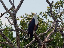 45: 1_DSC_5963_lores