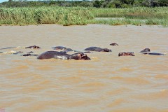 46: 1_DSC_5971_lores