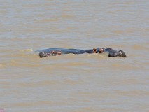 48: 1_DSC_5979_lores