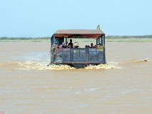 50: 1_DSC_5984_lores