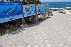 12: 1_DSC00850_lores