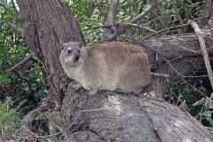 13: 1_DSC00853_lores