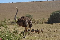 44: 1_DSC00873_lores