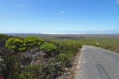 32: 1_DSC00878_lores