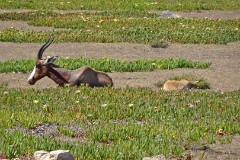 45: 1_DSC00884_lores