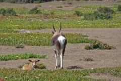 46: 1_DSC00885_lores