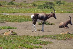 47: 1_DSC00886_lores