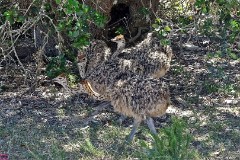 50: 1_DSC00896_lores