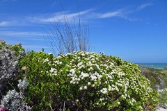 64: 1_DSC00951_lores