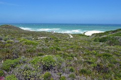 65: 1_DSC00953_lores