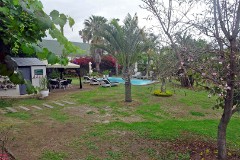 19: 1_DSC00983_lores