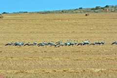 28: 1_DSC_5654_lores