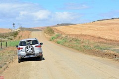 30: 1_DSC_5655_lores