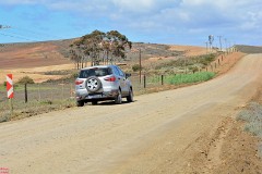 31: 1_DSC_5658_lores