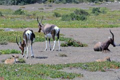 34: 1_DSC_5667_lores