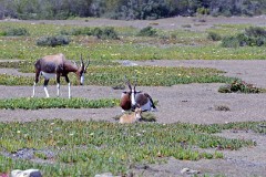 35: 1_DSC_5670_lores