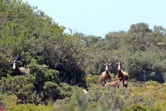 36: 1_DSC_5684_lores