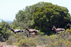 37: 1_DSC_5688_lores