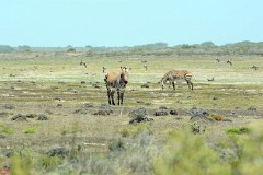 38: 1_DSC_5706_lores