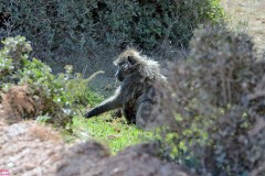 39: 1_DSC_5711_lores