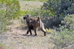 40: 1_DSC_5724_lores