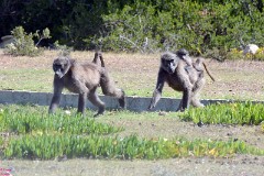 42: 1_DSC_5749_lores