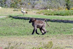 43: 1_DSC_5758_lores