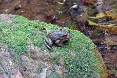 15: 1_DSC01233_lores