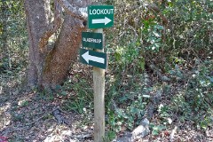 20: 1_DSC01257_lores