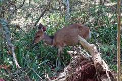 19: 1_DSC01264_lores