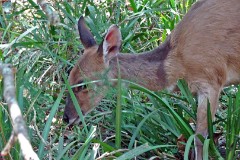 18: 1_DSC01266_lores