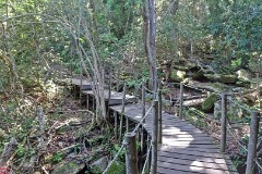 20: 1_DSC01130_lores