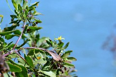 25: 1_DSC_5891_lores