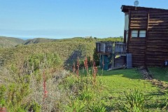 15: 1_DSC01294_lores