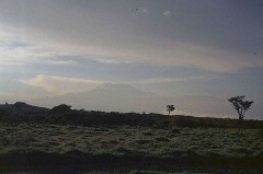 5: Kilimanjaro03