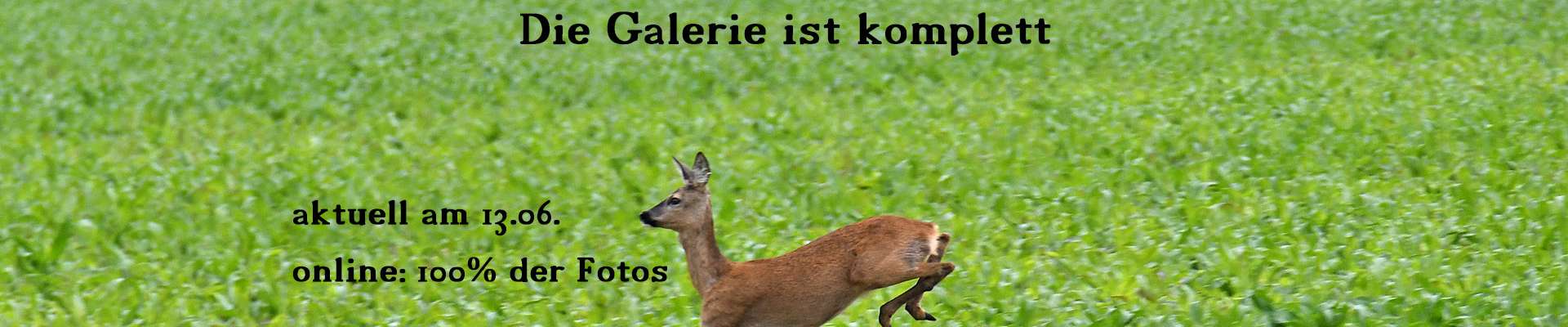 Gruppen und Diverses